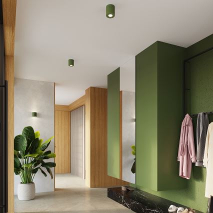 Taškinis šviestuvas ORBIS 1xGU10/10W/230V betonas/žalia