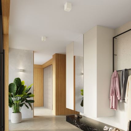 Sieninis taškinis šviestuvas QUAD 1xG9/8W/230V, betono/kreminės spalvos