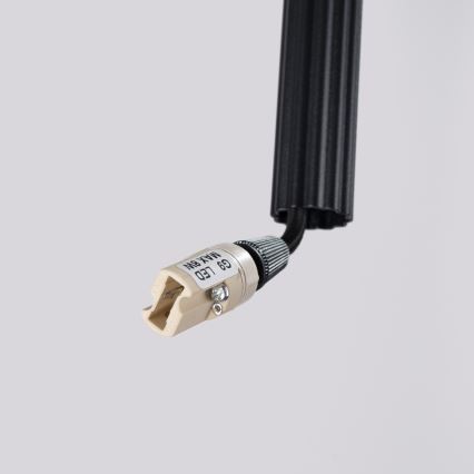 Pakabinamas šviestuvas su trosu ARCHE 2xG9/8W/230V juodas