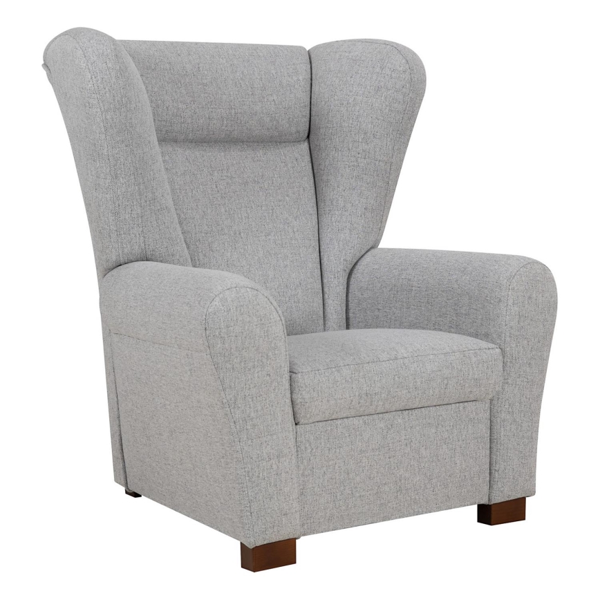 Sparnuotas fotelis VIVA, pilkos spalvos