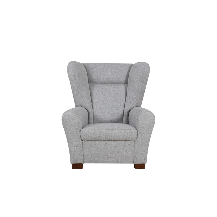 Sparnuotas fotelis VIVA, pilkos spalvos