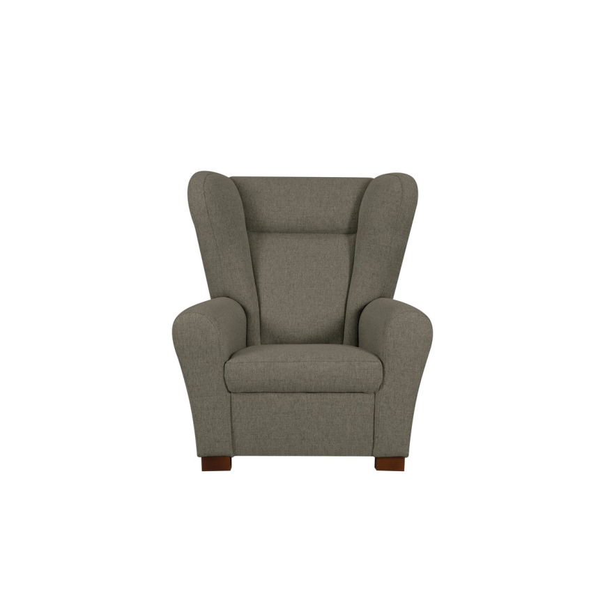 Sparnuotas fotelis VIVA, rudas