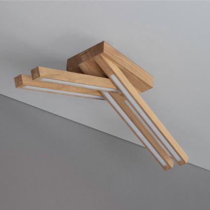 LED paviršinis šviestuvas LINUS 4xLED/4,5W/230V matinio ąžuolo