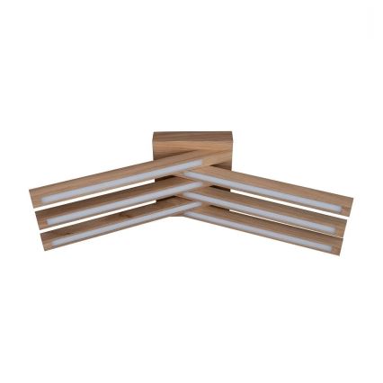 LED Ant pagrindo montuojamas sietynas LINUS 6xLED/4,5W/230V matinio ąžuolo