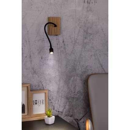 LED sieninis šviestuvas LECTOR LED/2,5W/230V ąžuolas