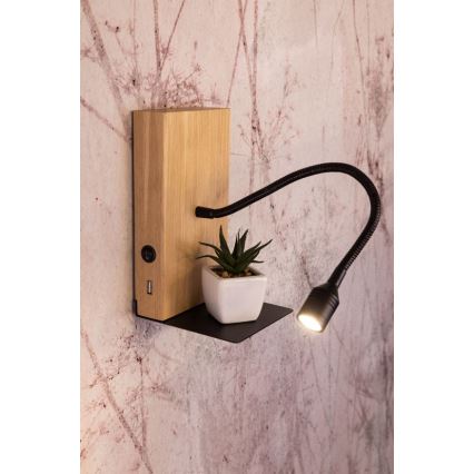 LED sieninis šviestuvas LECTOR LED/2,5W/230V USB ąžuolas
