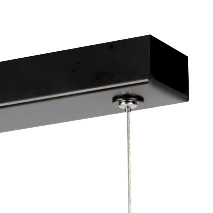 LED Reguliuojamas šviestuvas ant laido LUCAS LED/25,5W/230V pušis