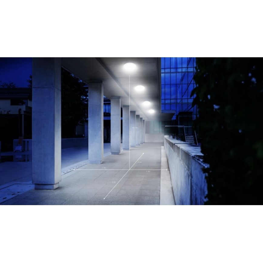 Steinel 035440 - LED lauko šviestuvas su jutikliu QUATTRO LED/10W/230V IP54