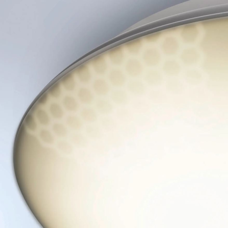 Steinel 035440 - LED lauko šviestuvas su jutikliu QUATTRO LED/10W/230V IP54