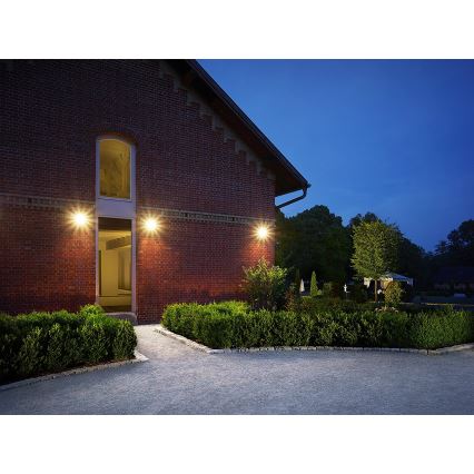 Steinel 052546 - LED prožektorius su jutikliu LS150LED LED/20,5W/230V juoda IP44