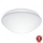 Steinel 056124 - LED lubinis vonios šviestuvas RS PRO LED P3 LED/19,5W/230V IP54 4000K