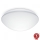 Steinel 056131 - LED lubinis vonios šviestuvas RS PRO LED P3 LED/19,5W/230V IP54 3000K