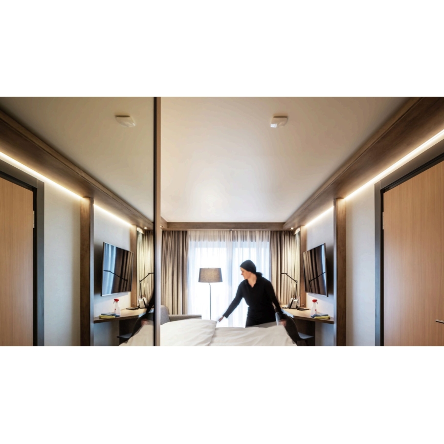 STEINEL 056339 - Judesio jutiklis TRUE PRESENCE KNX