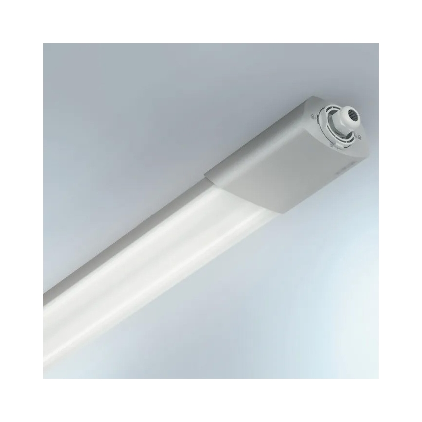 Steinel 079185-LED Didelio našumo šviestuvas su jutikliu RSPRO 5100SC LED/31W/230V IP66