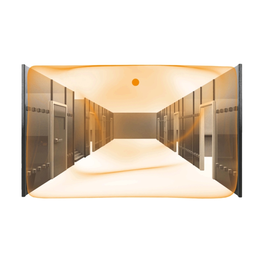 Steinel 079604 - Buvimo jutiklis Dual US KNX baltas