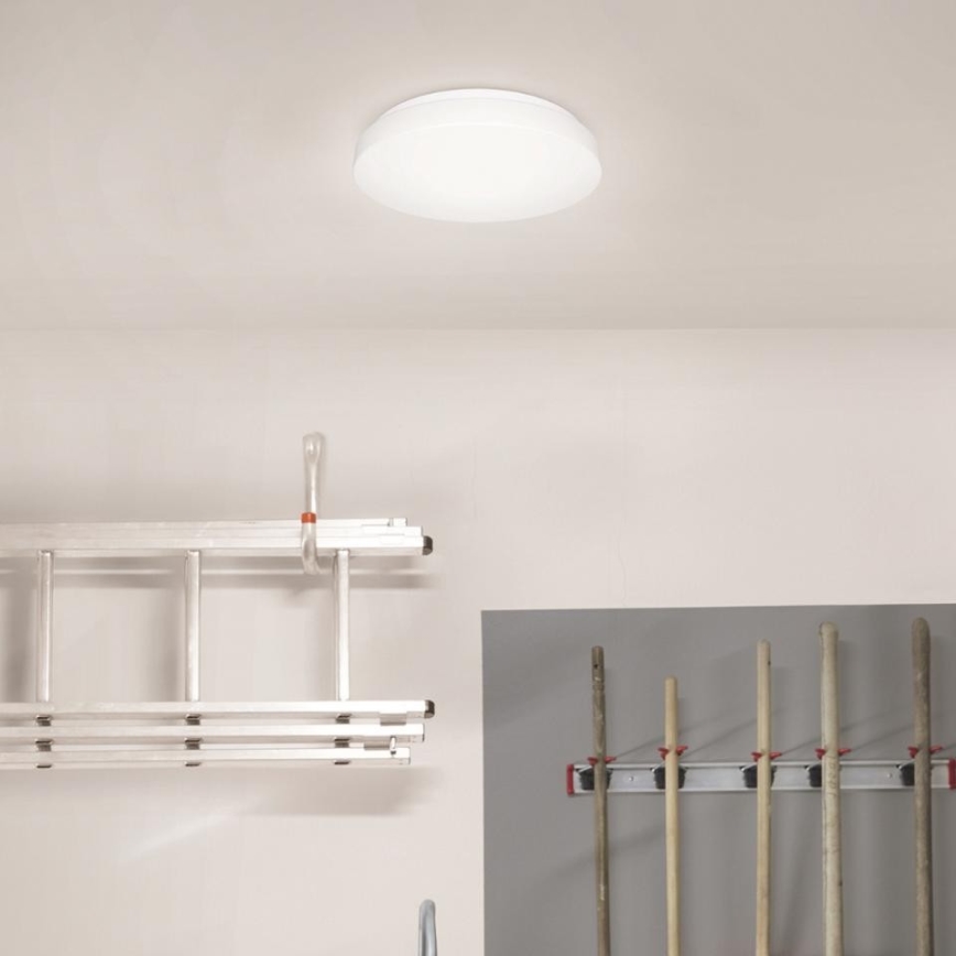 Steinel 079734 - LED Lubinis šviestuvas su jutikliu RS 20 S LED/9,4W/230V IP44