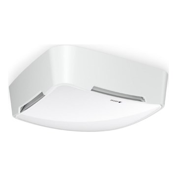 Steinel 081850 - Multisensorius True Presence V2 IP AP WS balta