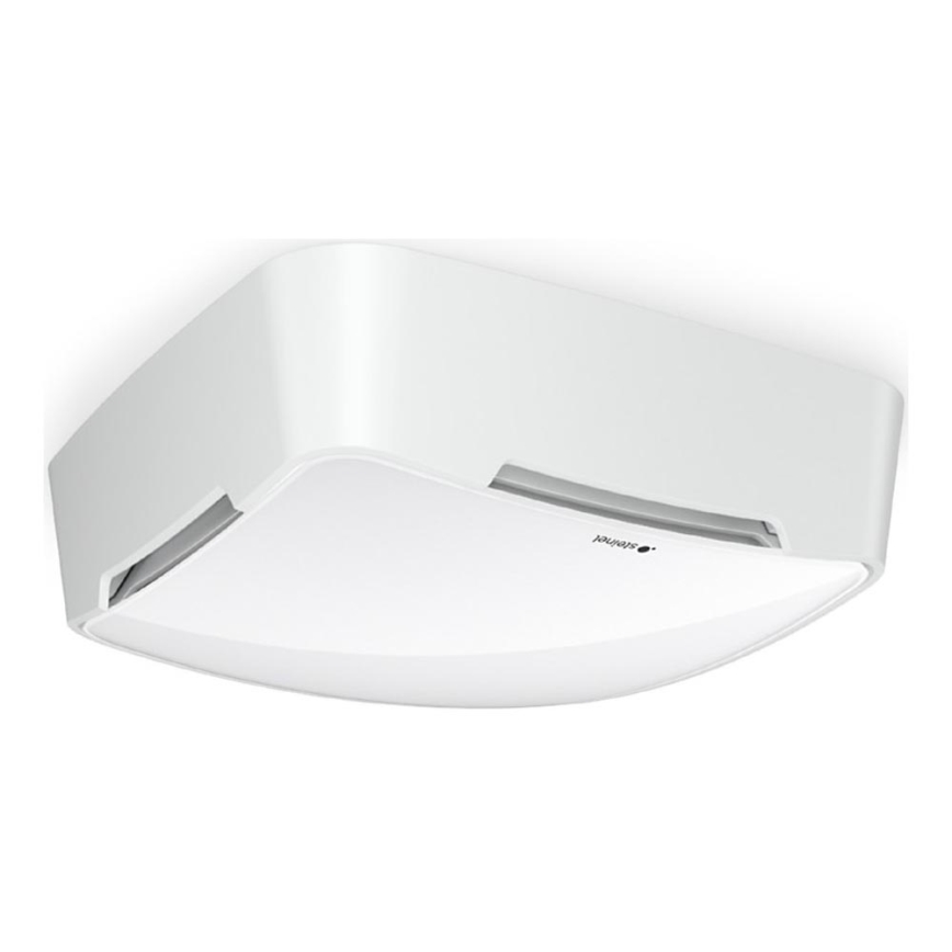 Steinel 081850 - Multisensorius True Presence V2 IP AP WS balta