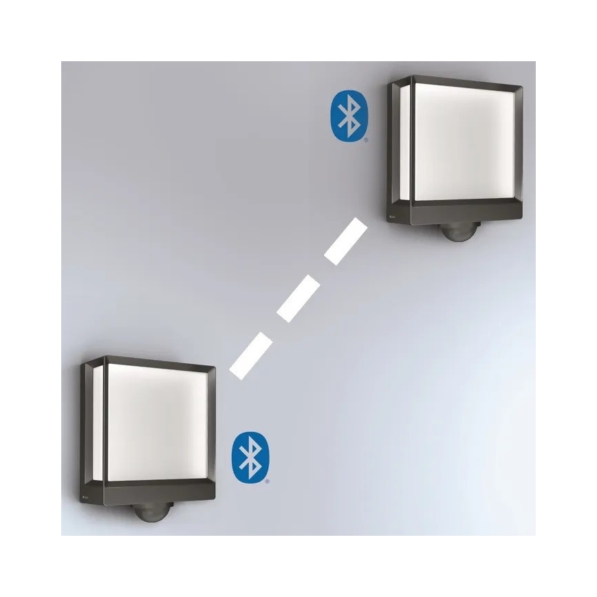 Steinel 085247 - LED šviesos reguliavimas Lauko sieninis šviestuvas su jutikliu L40SC LED/12,9W/230V