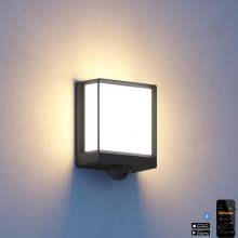 Steinel 085247 - LED šviesos reguliavimas Lauko sieninis šviestuvas su jutikliu L40SC LED/12,9W/230V