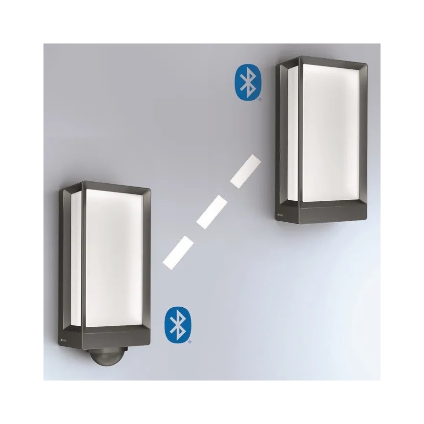 Steinel 085254 - LED Reguliuojamas lauko sieninis šviestuvas L42C LED/12,6W/230V IP54