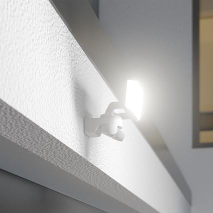 Steinel 089894 - LED prožektorius su jutikliu XLED PROTECT LED/14,3W/230V 3000K IP54 balta