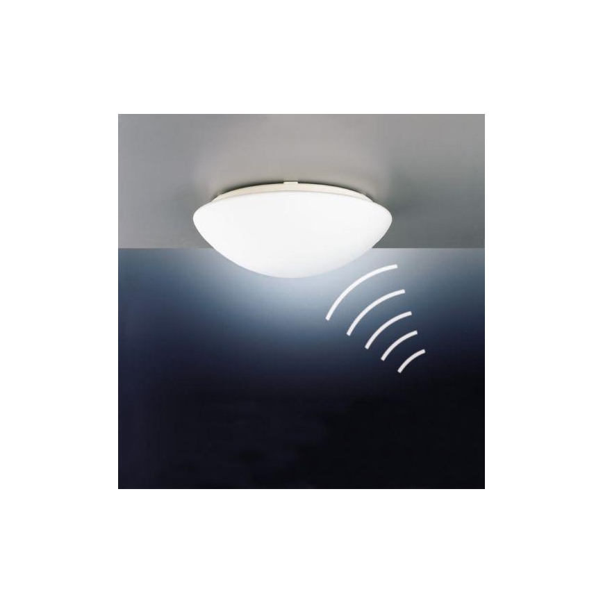 STEINEL 738013-RS16L - Lauko lubinis šviestuvas su jutikliu 1xE27/60W/230V IP44