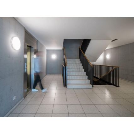 Steinel - LED Pritemdomas lubinis šviestuvas su jutikliu RSPROR30QBASICSC 23,26W/230V IP40 4000K
