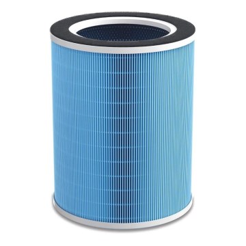 Stylies - Atsarginis kombinuotas filtras oro valytuvui ALPHA