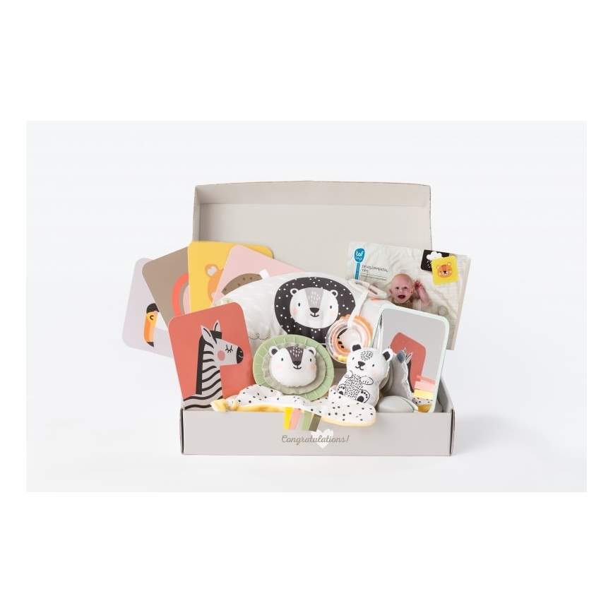 Taf Toys - Dovanų dėžutė HELLO BABY