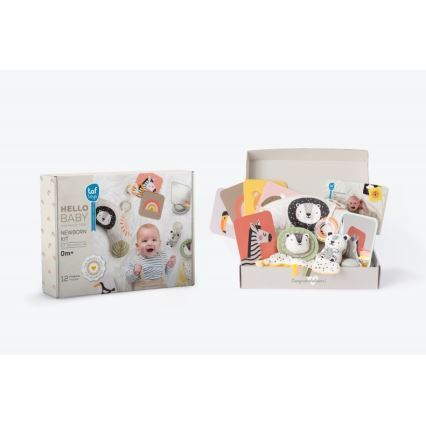 Taf Toys - Dovanų dėžutė HELLO BABY