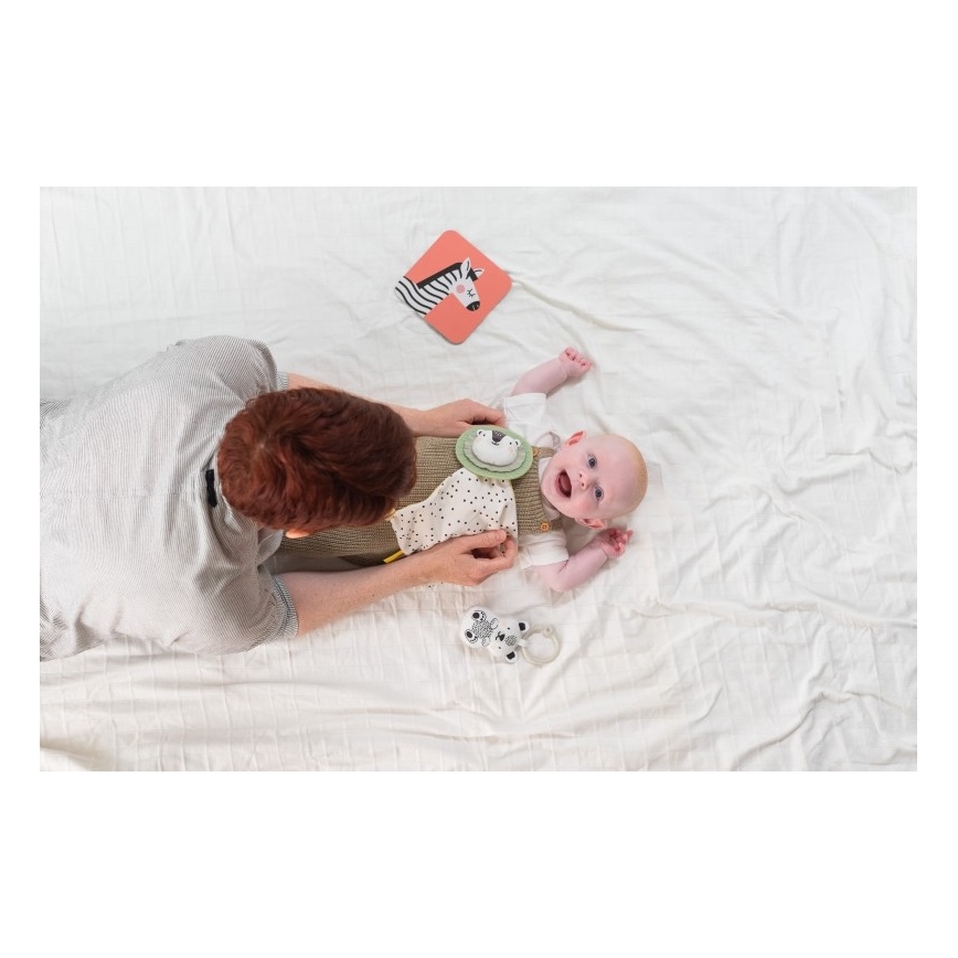 Taf Toys - Dovanų dėžutė HELLO BABY