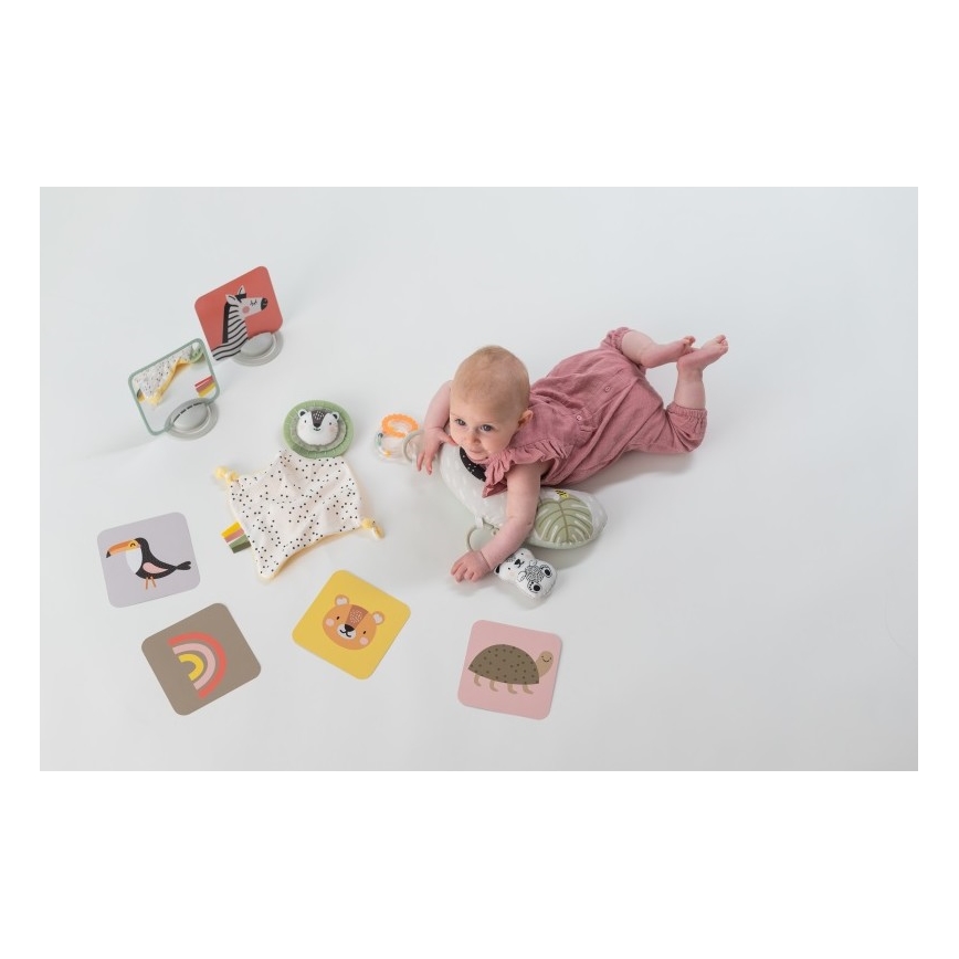 Taf Toys - Dovanų dėžutė HELLO BABY