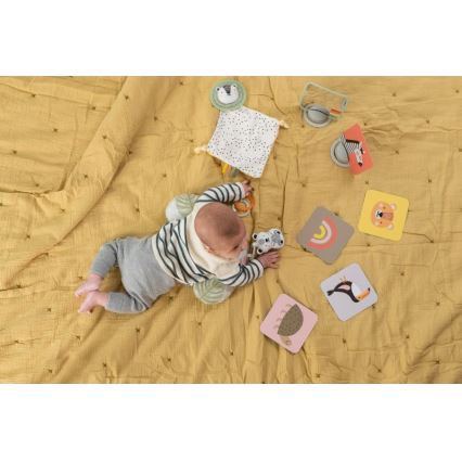 Taf Toys - Dovanų dėžutė HELLO BABY