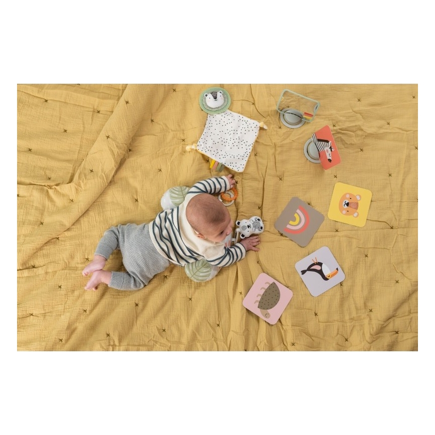 Taf Toys - Dovanų dėžutė HELLO BABY