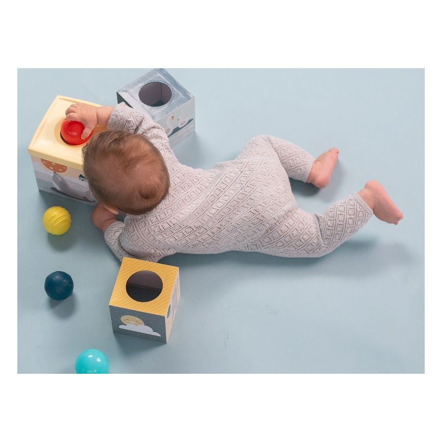 Taf Toys - Interaktyvus žaidimų rinkinys Šiaurės ašigalis
