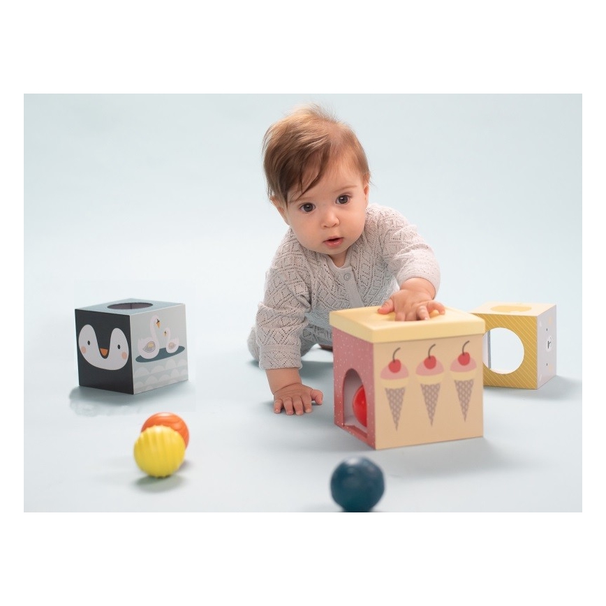 Taf Toys - Interaktyvus žaidimų rinkinys Šiaurės ašigalis