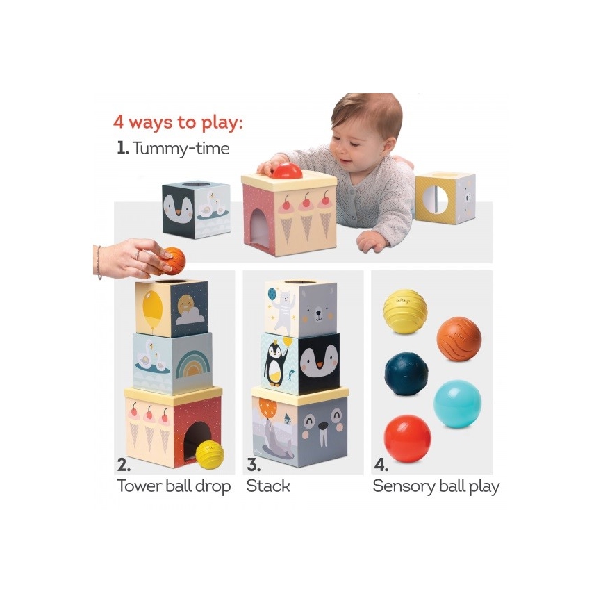 Taf Toys - Interaktyvus žaidimų rinkinys Šiaurės ašigalis
