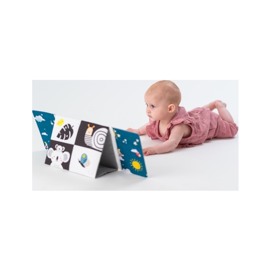 Taf Toys - Vaikiška tekstilinė knygelė su veidrodžiu juoda