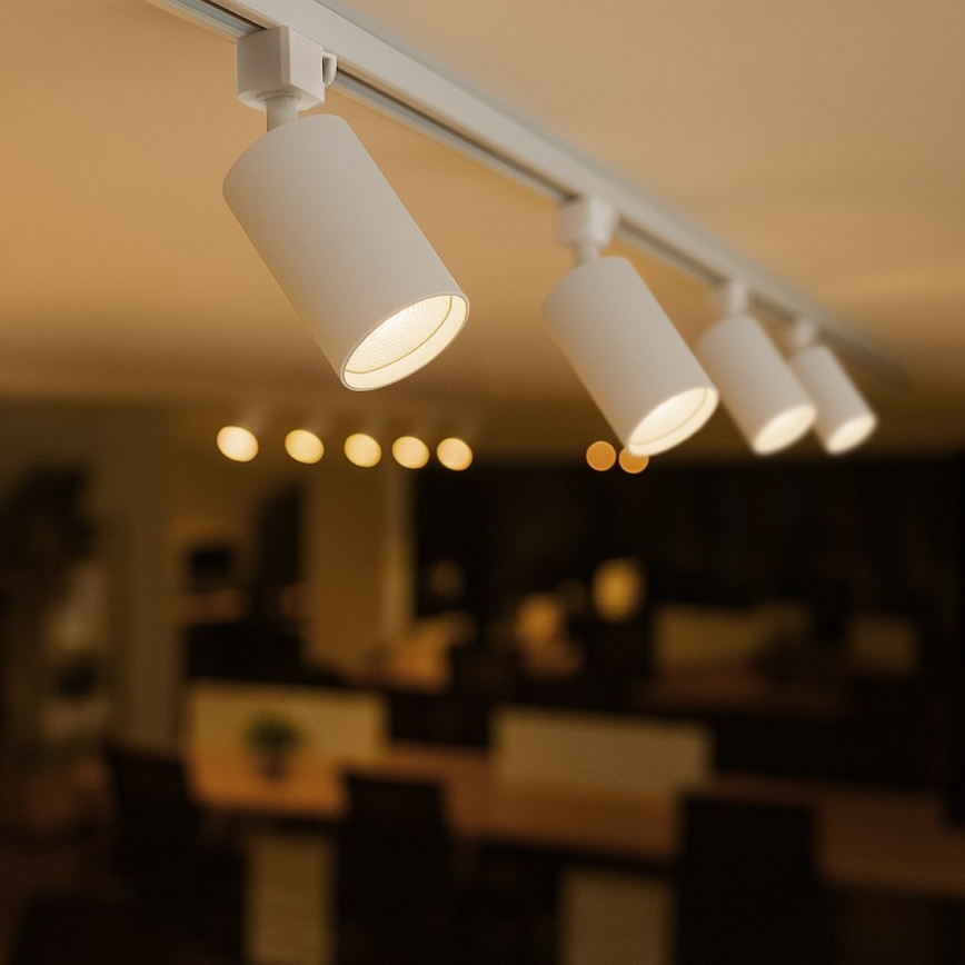 Taškinis šviestuvas 1 fazės bėginei sistemai TIGER 1xGU10/10W/230V, baltas