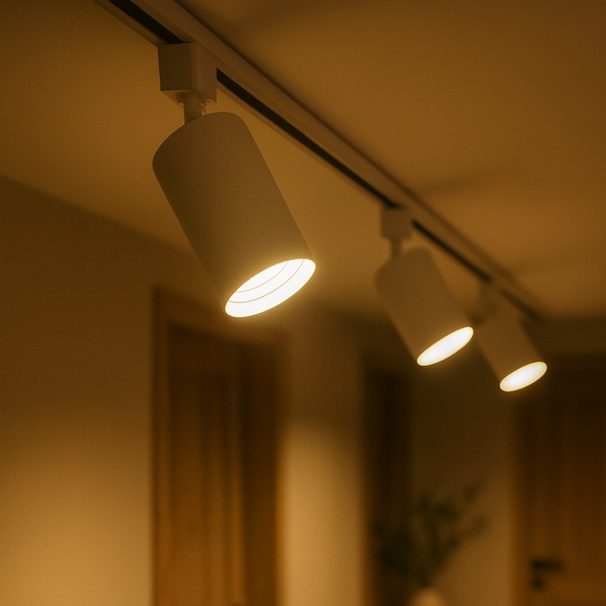 Taškinis šviestuvas 1 fazės bėginei sistemai TIGER 1xGU10/10W/230V, baltas