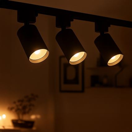 Taškinis šviestuvas 1 fazės bėgių sistemai TIGER 1xGU10/10W/230V juodas