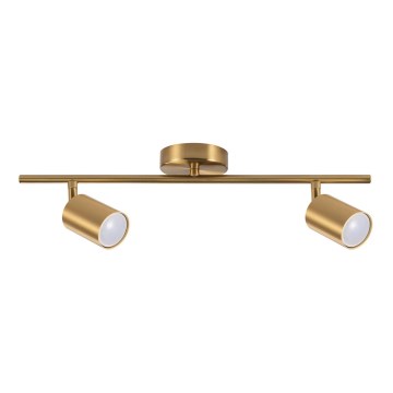 Taškinis šviestuvas GOLDIE 2xGU10/10W/230V auksinis