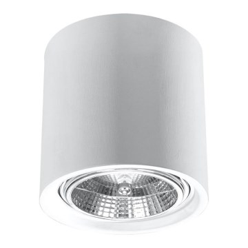 Taškinis šviestuvas KALU 1xGU10/ES111/40W/230V