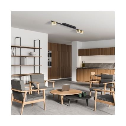 Taškinis šviestuvas LOGAN 3xGU10/10W/230V juodas/auksinis