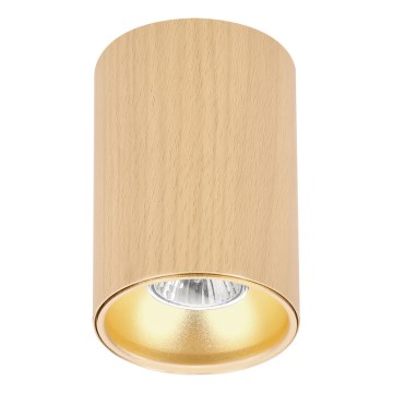 Taškinis šviestuvas TUBE 1xGU10/15W/230V smėlio spalvos
