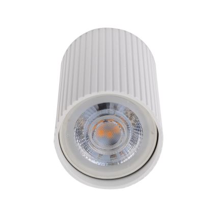 Taškinis šviestuvas TUNE S 1xGU10/10W/230V 10 cm baltas