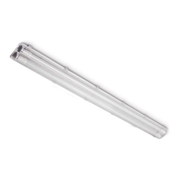 Techninė fluorescencinė šviestuvas 2xG13/18W/230V IP65