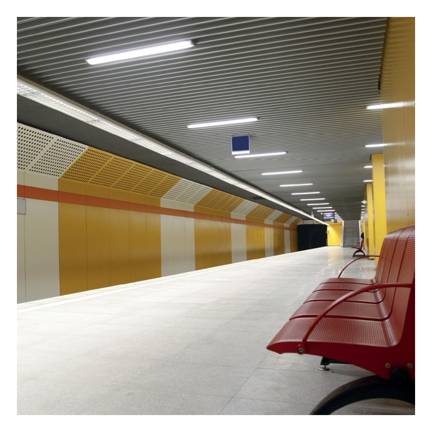 Techninis fluorescencinis šviestuvas LIMEA T8 2xG13/20W/230V IP65 71 cm