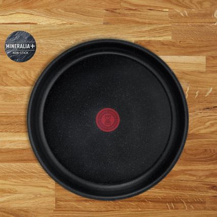 Tefal - 13 dalių virtuvės indų rinkinys INGENIO PERFECT COOK
